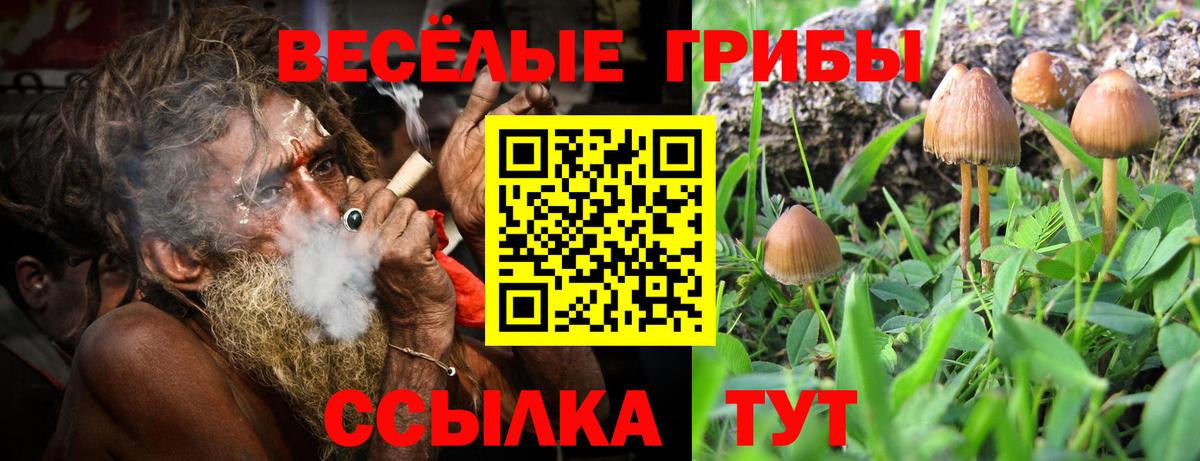 Мефедрон   ГАШИШ  Южноуральск  КЕТАМИН  Где найти наркотики?  МАРИХУАНА  ЭКСТАЗИ  Вход с VPN  A PVP СК   LSD-25  Кокаин  Codein 