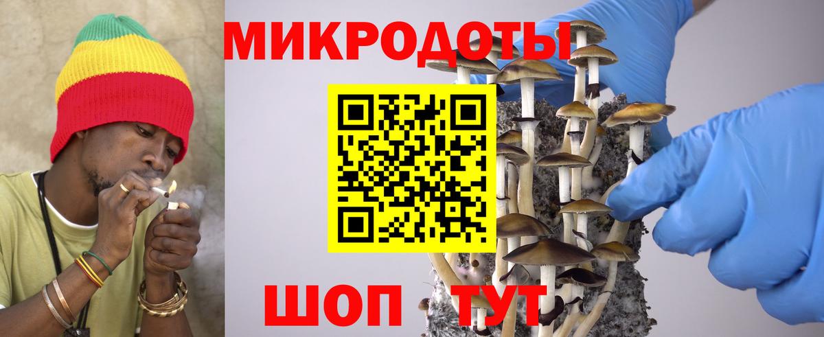 Псилоцибиновые грибы мухоморы Южноуральск